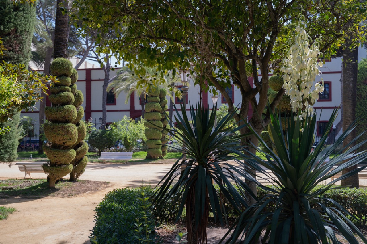 Bild: Parque Genovés in Cádiz 