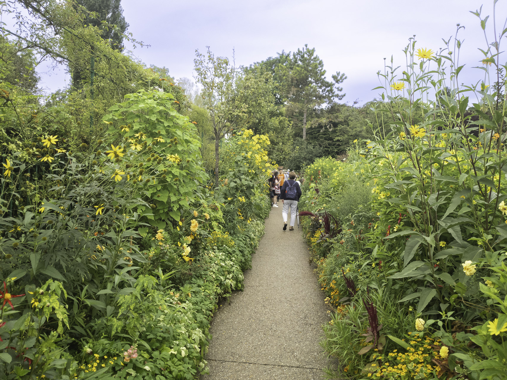 Bild: Im Blumengarten von Claude Monet in Giverny 