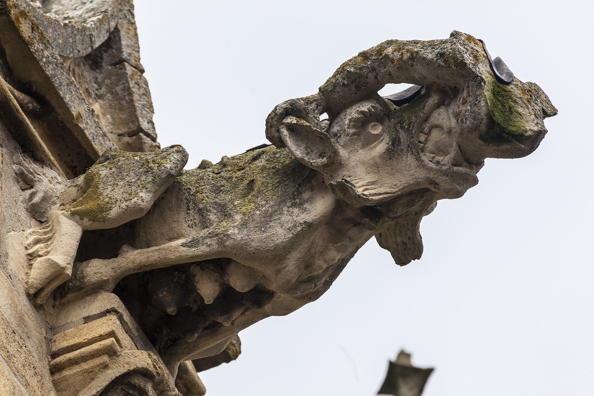 Bild: Wasserspeier & Monster an der Basilika Notre Dame de L`Épine 