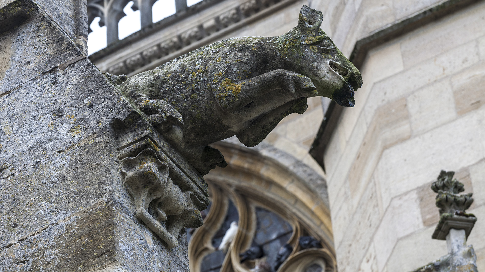 Bild: Wasserspeier & Monster an der Basilika Notre Dame de L`Épine 