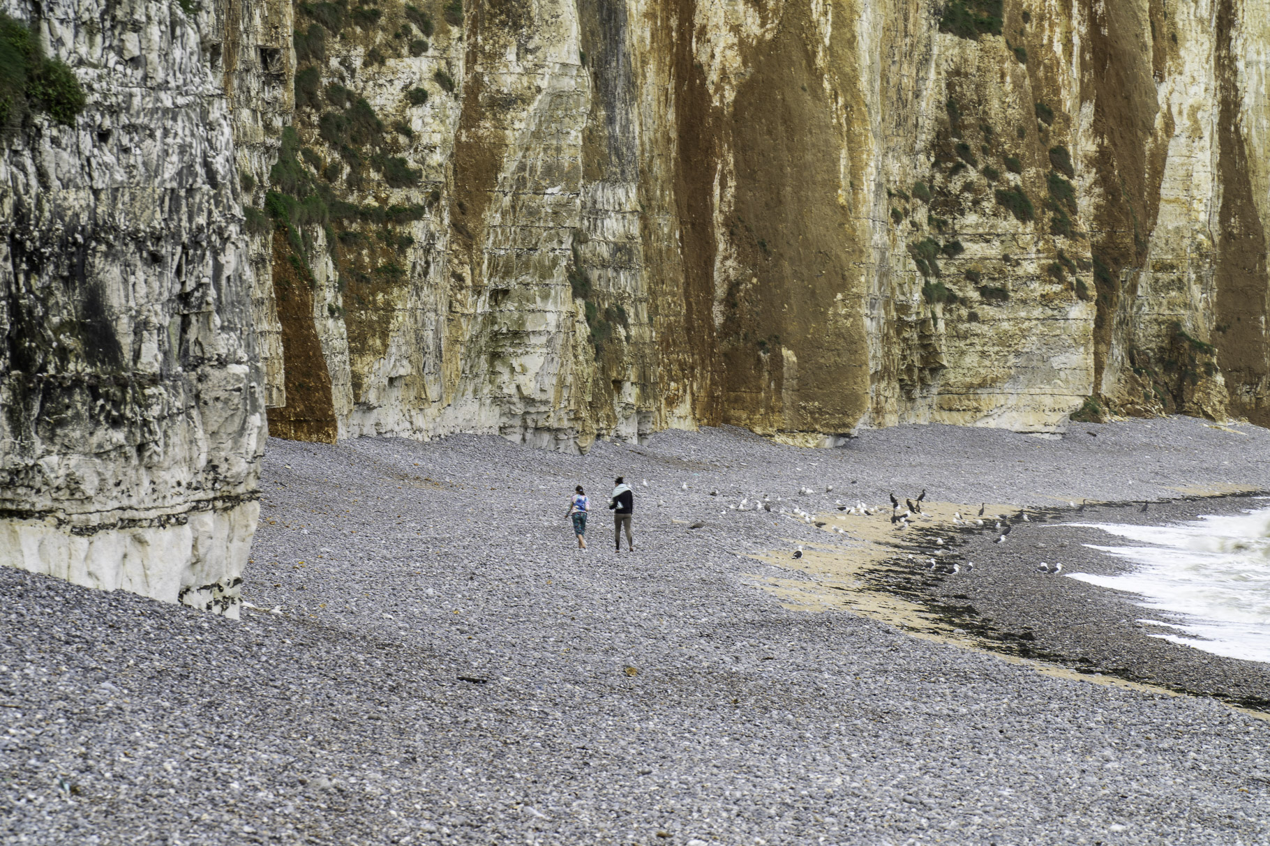 Bild: Wanderung am Strand von Veules-les-Roses nach Saint-Valery-en-Caux