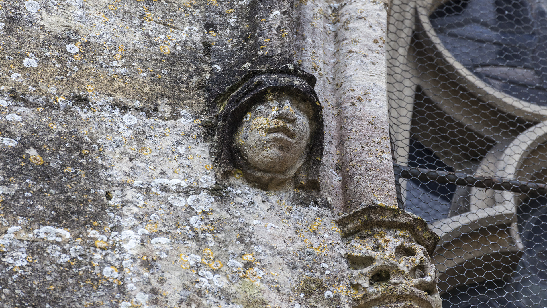 Bild: Wasserspeier & Monster an der Basilika Notre Dame de L`Épine 