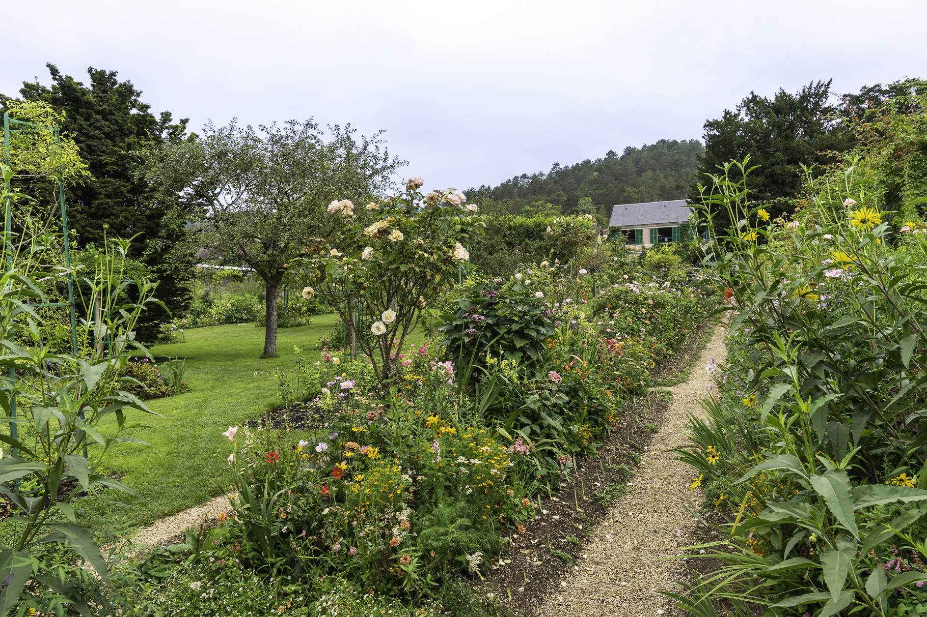 Bild: Im Blumengarten von Claude Monet in Giverny