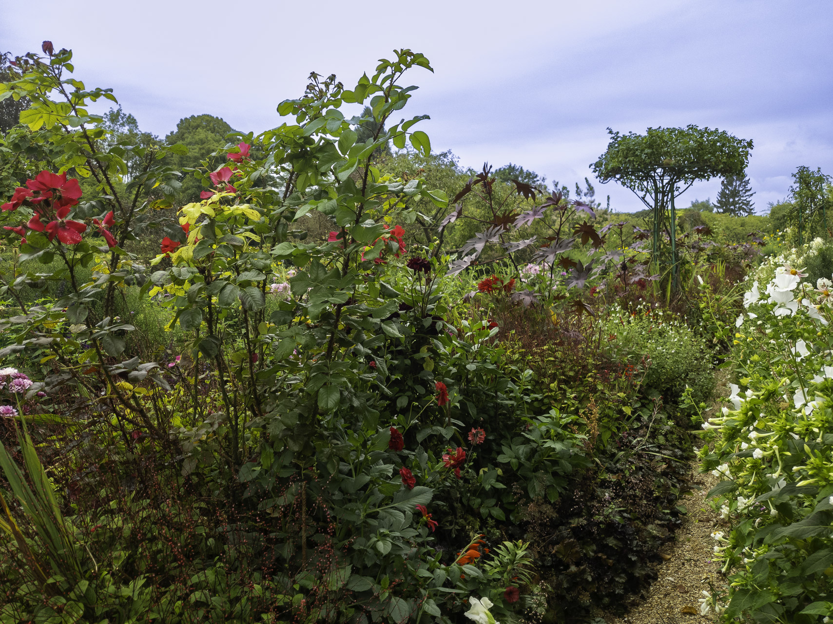 Bild: Im Blumengarten von Claude Monet in Giverny 