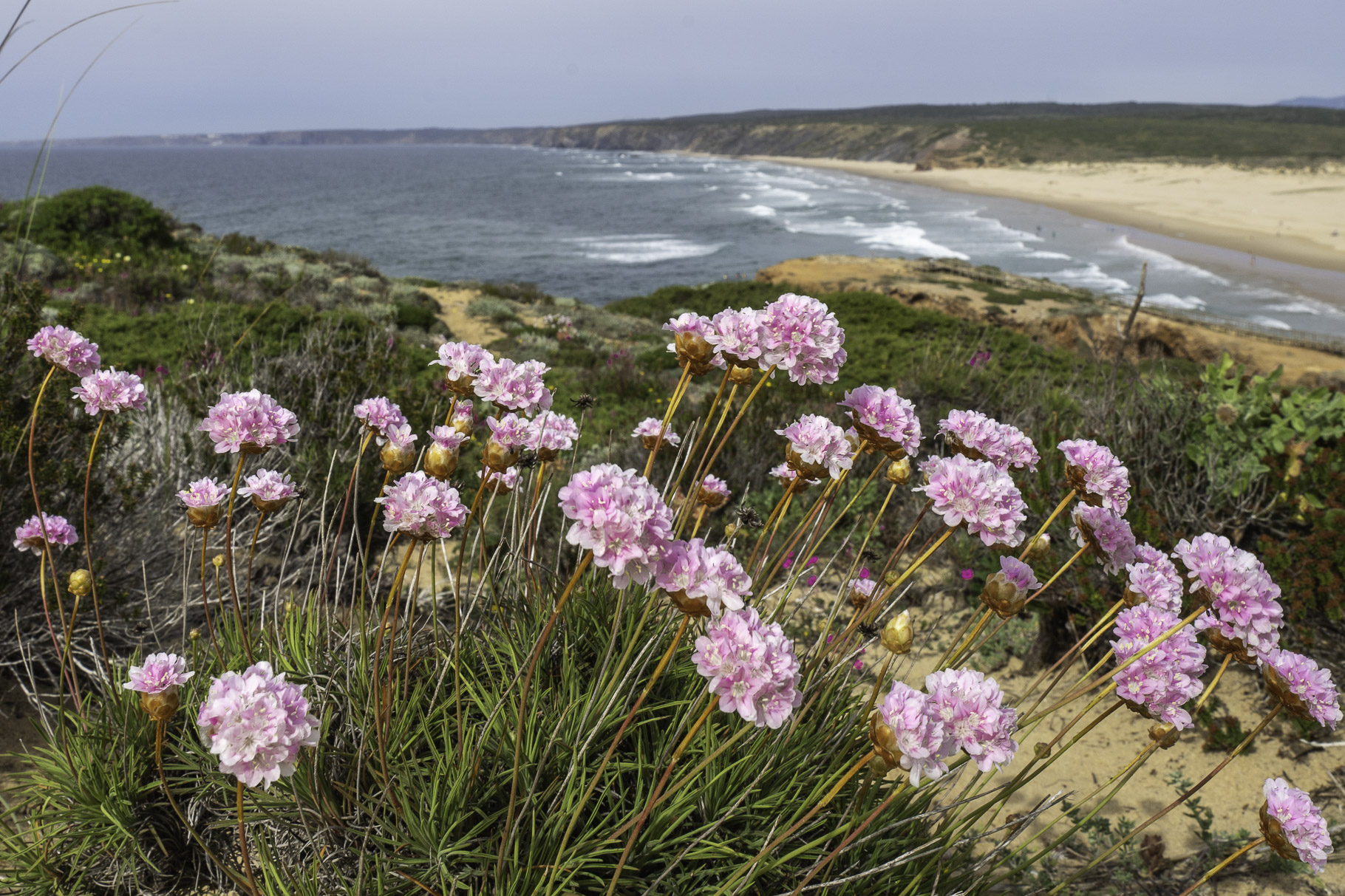 Bild: Praia da Bordeira 