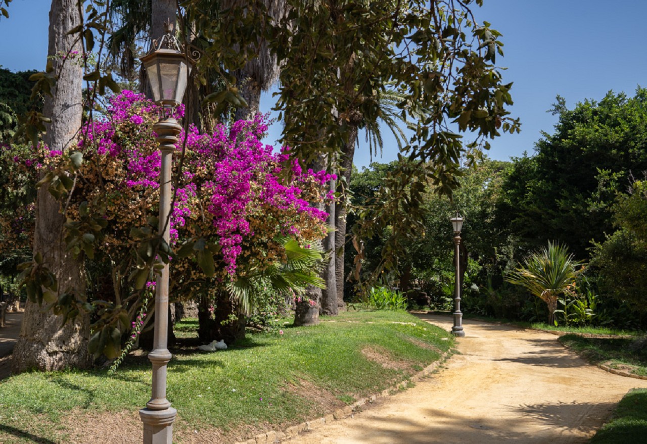 Bild: Parque Genovés in Cádiz 