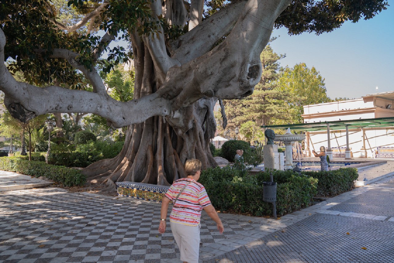 Bild: Parque Genovés in Cádiz 