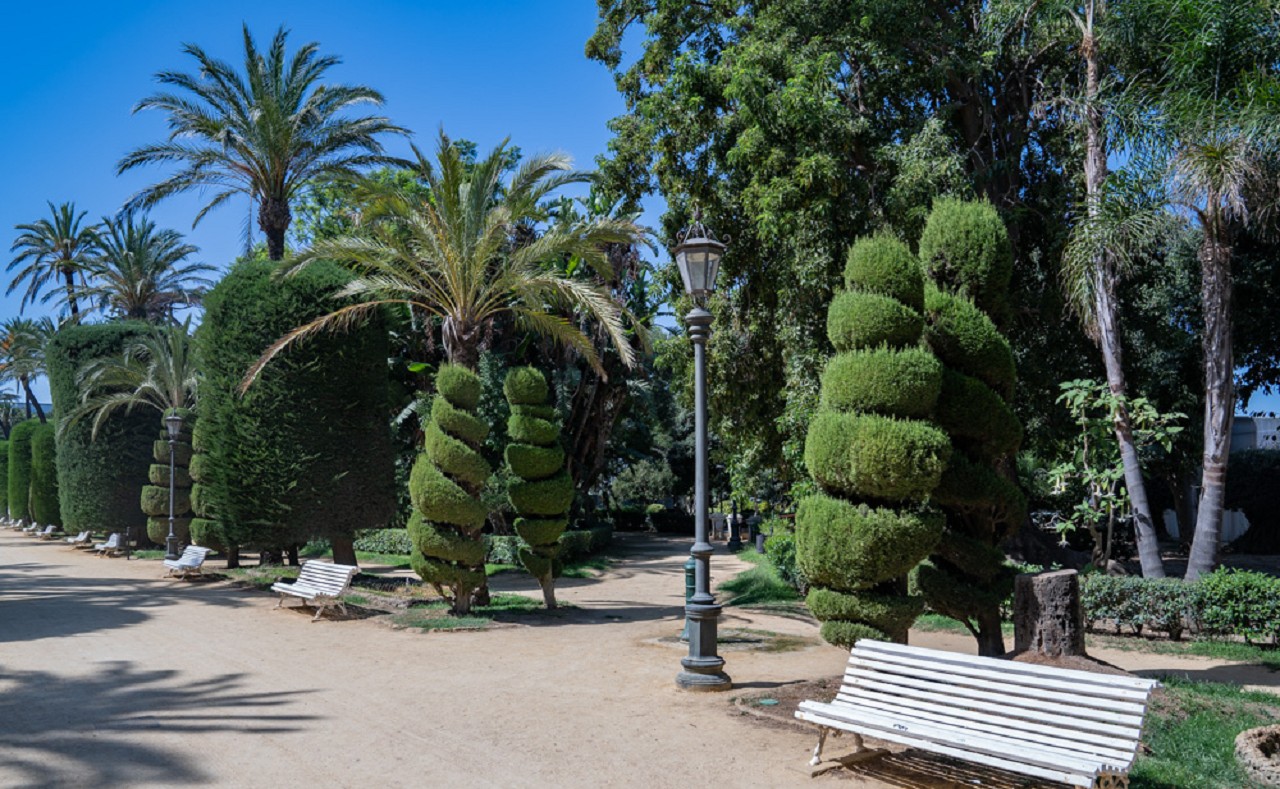 Bild: Parque Genovés in Cádiz 