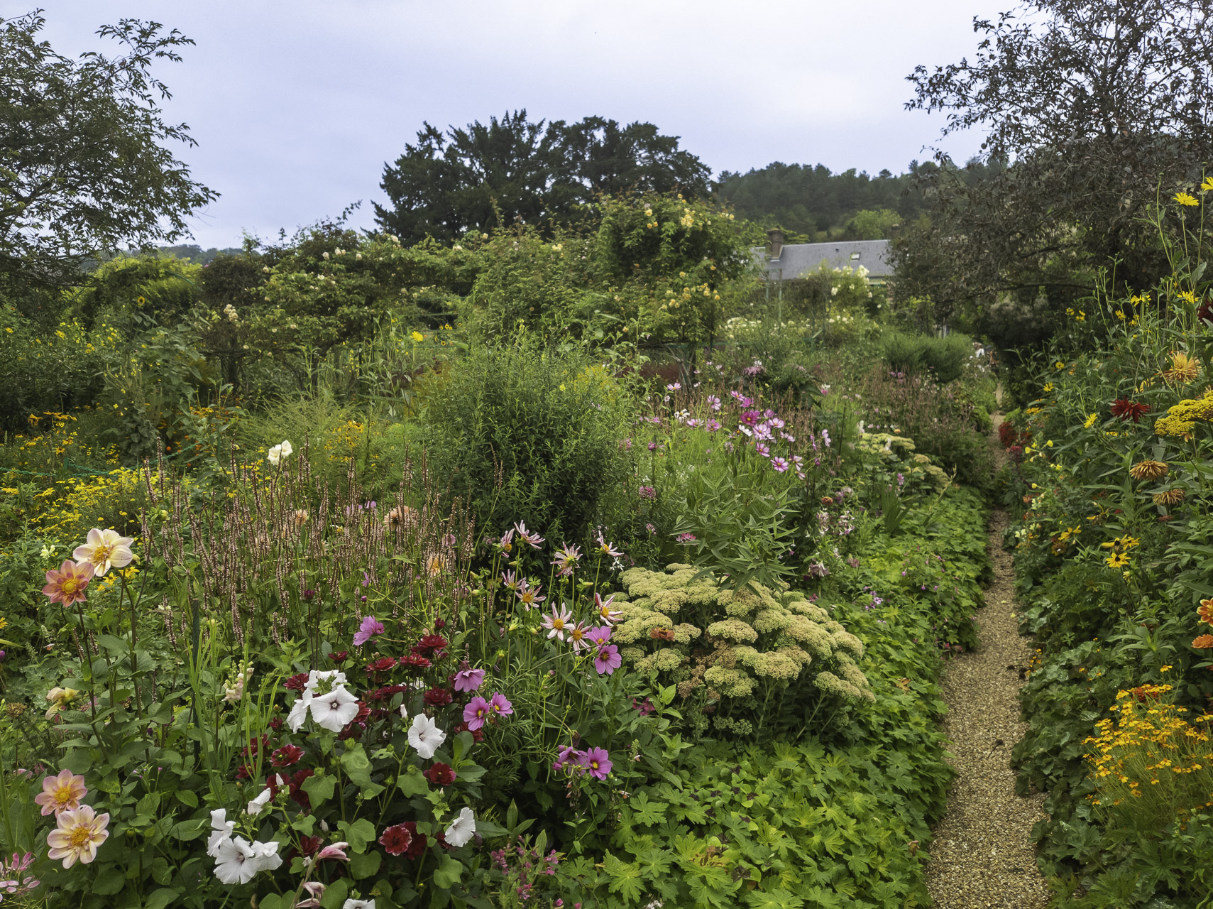 Bild: Im Blumengarten von Claude Monet in Giverny 