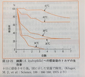 体温と鍼灸