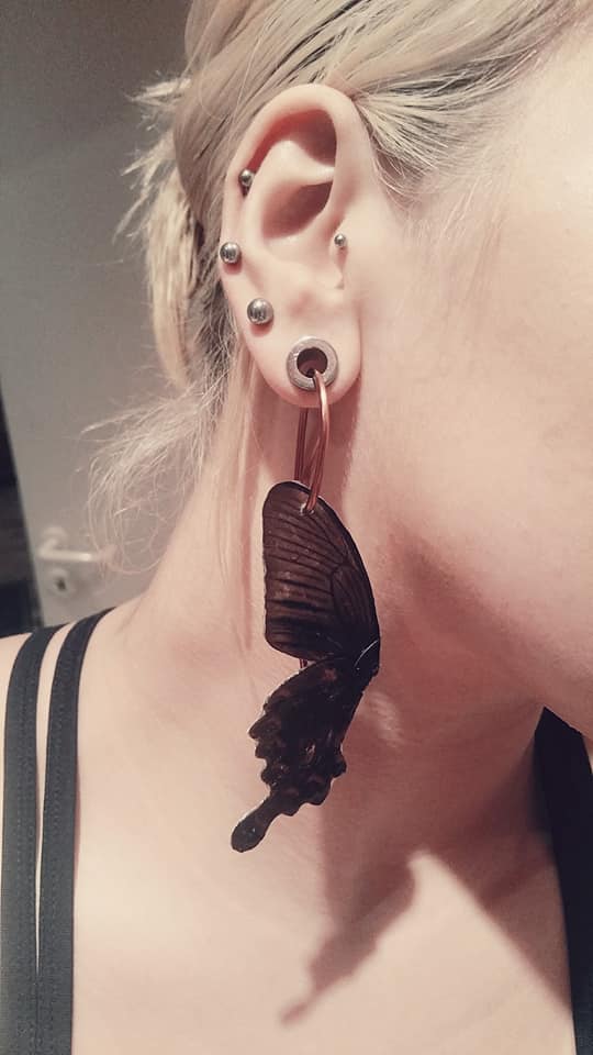 Earrings for Tunnels - made of a real butterfly wing