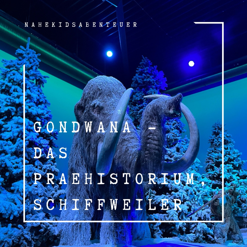 Tauch mit uns ein in die Urzeit: