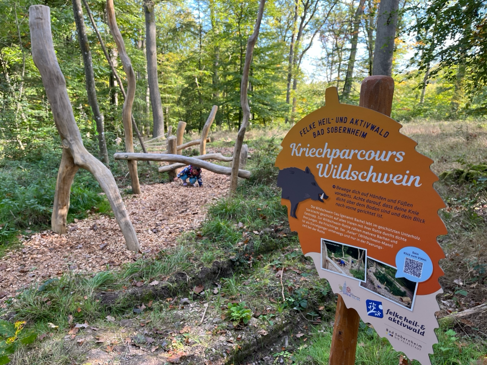 Felke Aktivwald – Familien‑Abenteuer im Herzen von Soonwald & Nahe