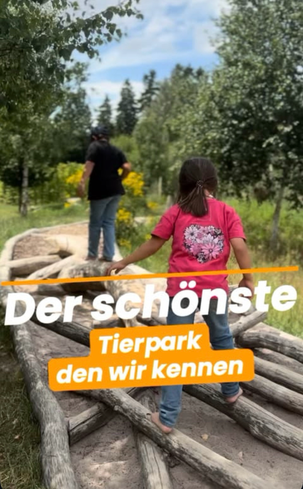 Tierpark Rheinböllen – ein Familienausflug voller Natur, Tiere und Abenteuer