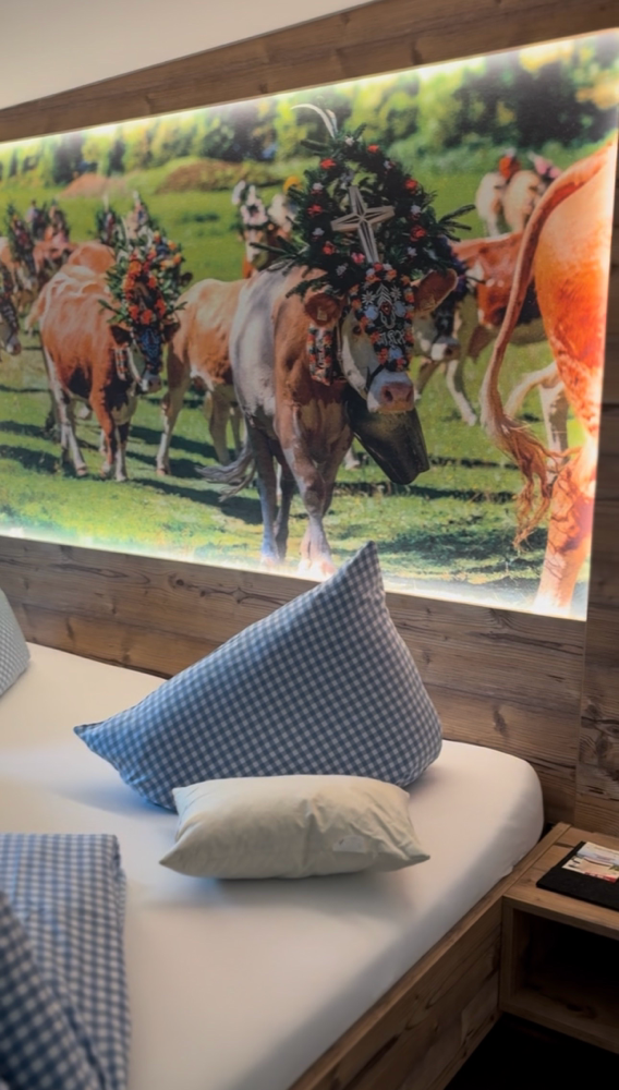 Familienabenteuer in der Käserstube – Natur, Berge & Entspannung im Tannheimer Tal