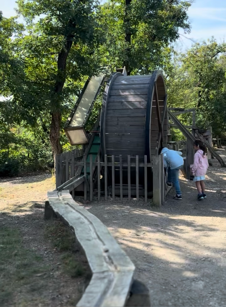 Familienabenteuer in Zilshausen – Murmelbahn, Zwergenhöhle & Natur entdecken