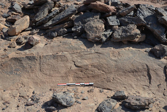 Ces gravures de 5,200 ans sont les plus vieilles trouvées à Wadi Ameyra dans le Désert de Sinaï et dépeignent un bateau avec un assortiment d'animaux. Credit: Courtesy Pierre Tallet