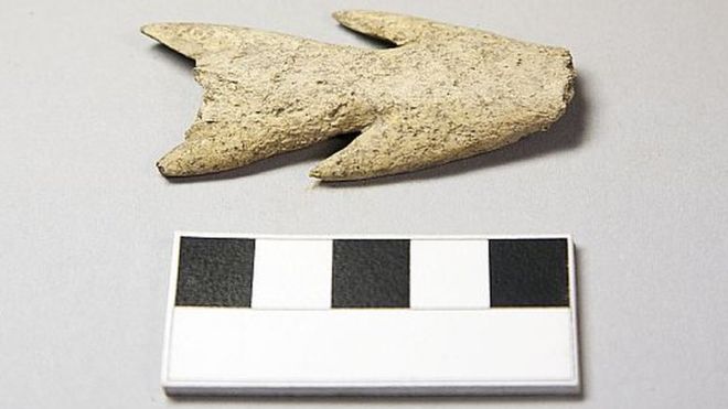Le harpon a peut-être été utilisé pour la chasse au phoque. Crédit : AOC Archaeology and TTT