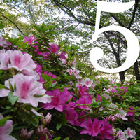 5月
