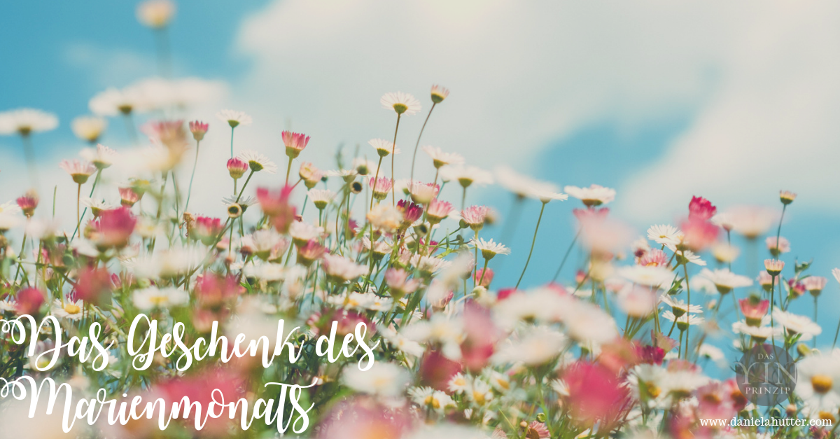 alles neu macht der Mai