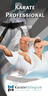 karate Team Achern - Professionelles Karate