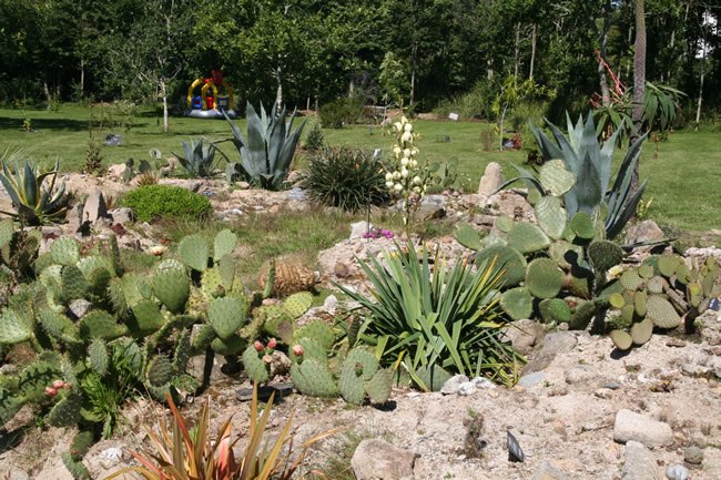 Audierne, Cap Sizun, botanischer Garten, Ar Paeron, exotische Pflanzen aus 5 Kontinenten