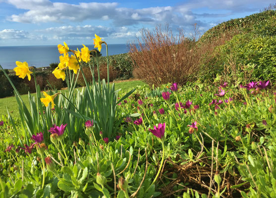 Blumen im Garten von Ferienhaus Ker Armor