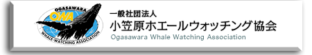 クジラ・イルカの自主ルールについて、詳しくはこちらから▲