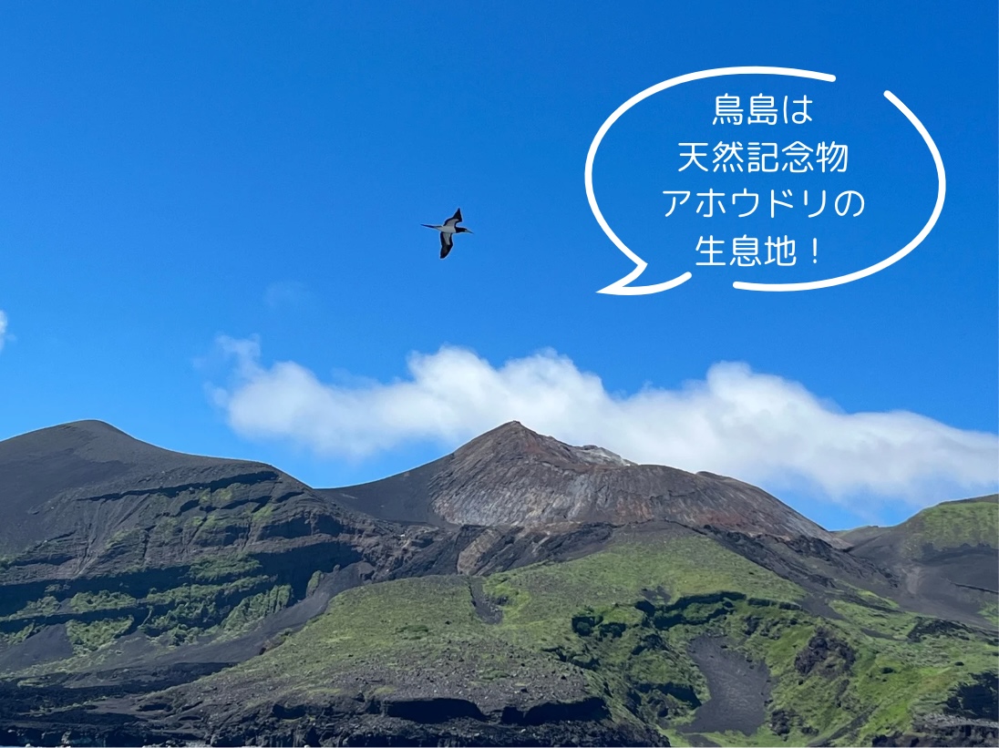 24 12月7日 熱海花火と小笠原クルーズ - 株式会社ナショナル 24 12月7日 熱海花火と小笠原クルーズ - 株式会社ナショナル