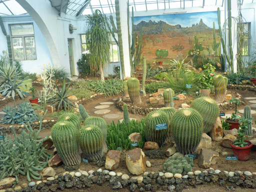 Cactus-House - Botanical Garden Lucknow - India