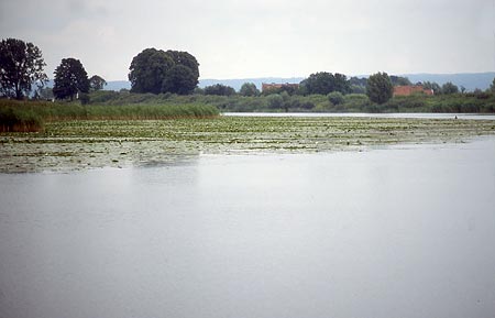 Nogat, ein Mündungsarm der Weichsel