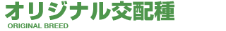 オリジナル交配種