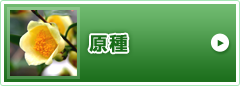 原種