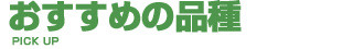 新着情報