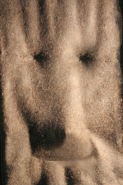 Sedia 'adulta'_Rivestita con resina epossidica_2012