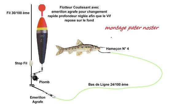 Montage carnassier clearance