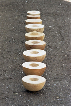 "Solarsysteme" 9 pieces 9 different kinds of wood 2000-2002, D 20-25cm