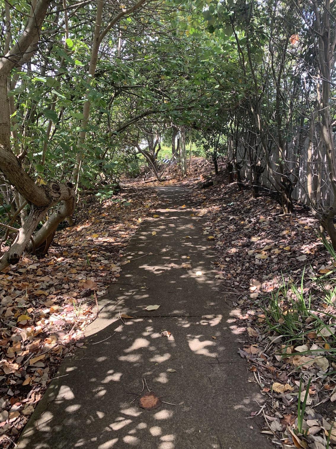 up to Coolum Tce