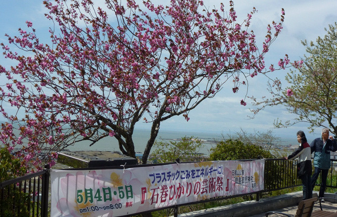 八重桜が満開で迎えてくれた日和山