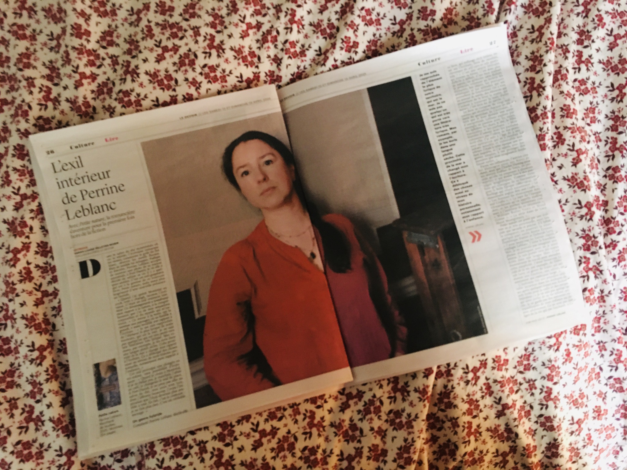 Cahier Lire du journal LE DEVOIR, le 12 avril 2025. Pour PETITE NATURE.