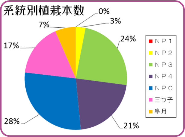 ミスなでしこⓇ　系統別植栽配分グラフ