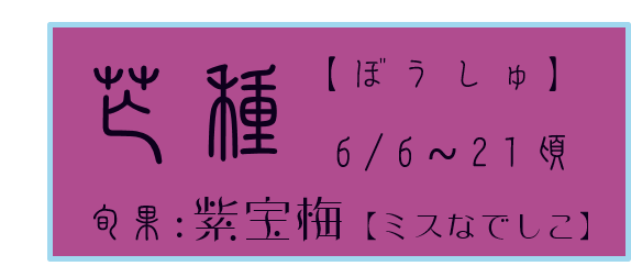 芒種【ぼうしゅ】アイコン　旬果：紫宝梅【ミスなでしこ】 和×夢 nagomu farm