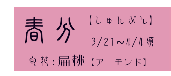 春分【しゅんぶん】アイコン　旬花：扁桃【アーモンド】