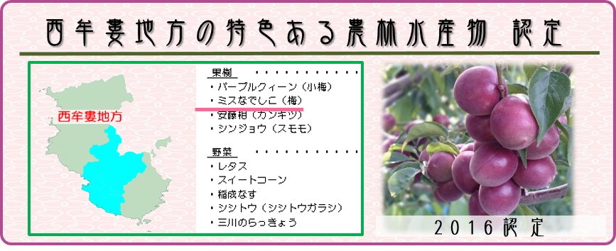 ミスなでしこ 行政 和 夢 Nagomu Farm ミスなでしこ 行政 和 夢 Nagomu Farm