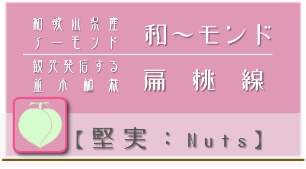 戦略Ｎ：堅実【nuts】アイコン ＮＰＯ戦略 和×夢 nagomu farm