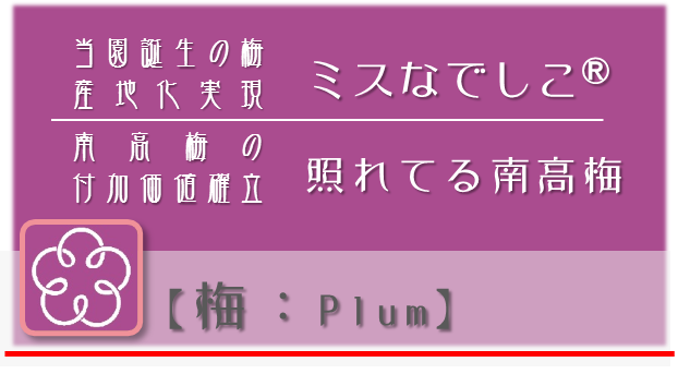 戦略Ｐ：梅【plum】　npo戦略　和×夢 nagomu farm