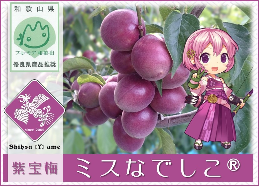紫宝梅『ミスなでしこⓇ』青梅