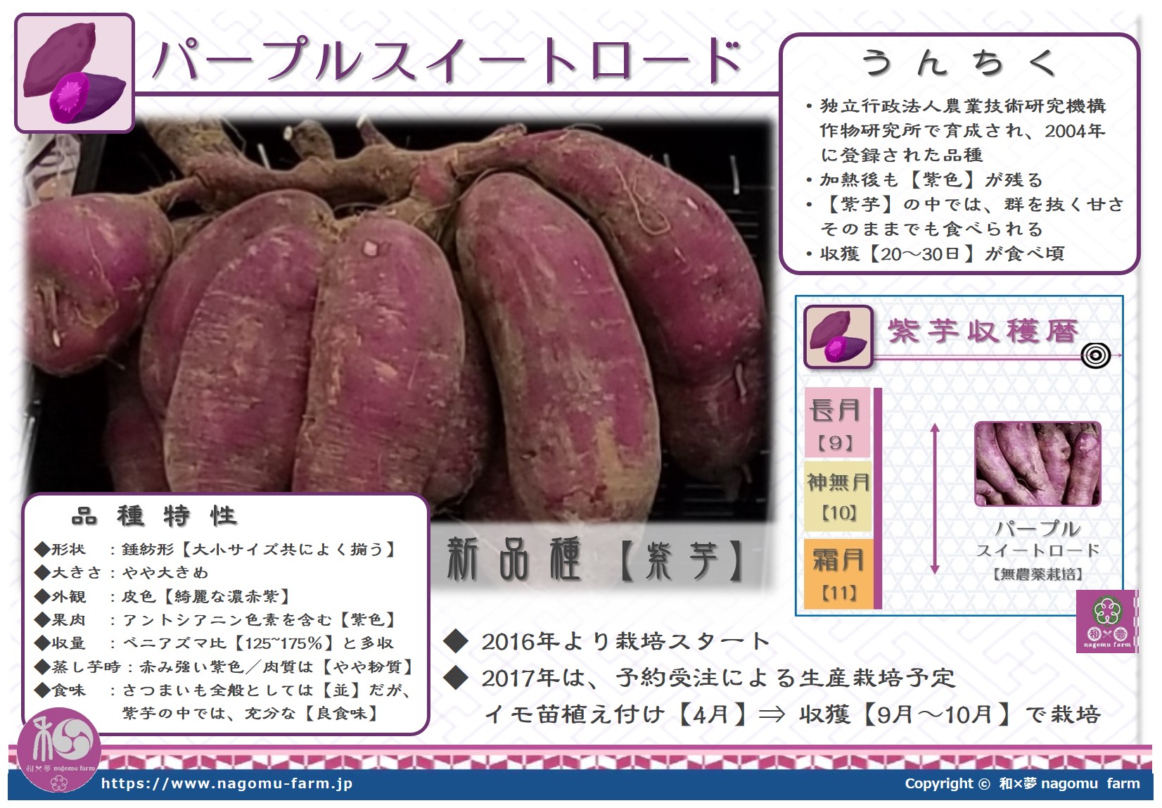 パープルスィートロード 紫芋 和 夢 Nagomu Farm パープルスィートロード 紫芋 和 夢 Nagomu Farm