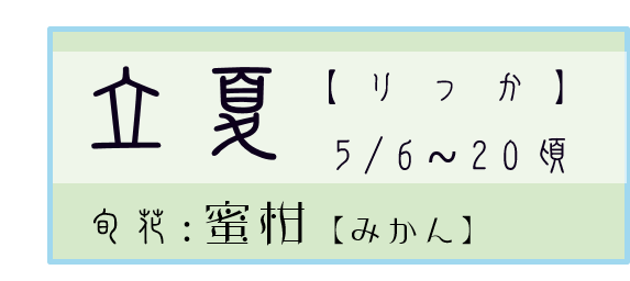 立夏【りっか】アイコン　旬花：杜若