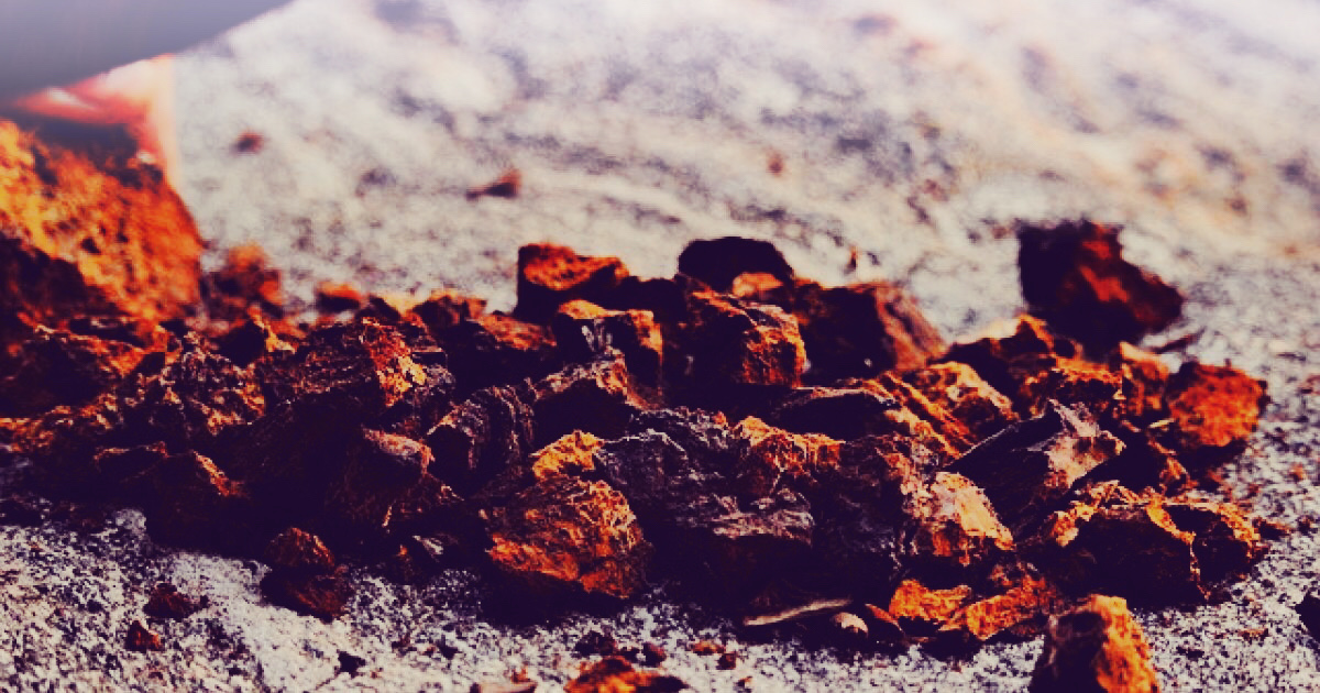 Chaga in Brocken vor der Zermahlung als Rohkost